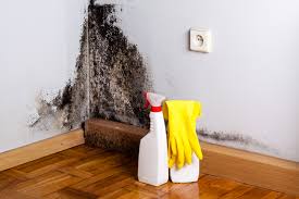 Best Mold Prevention Services in La Center, WA